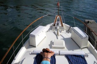 Analisa - Bow